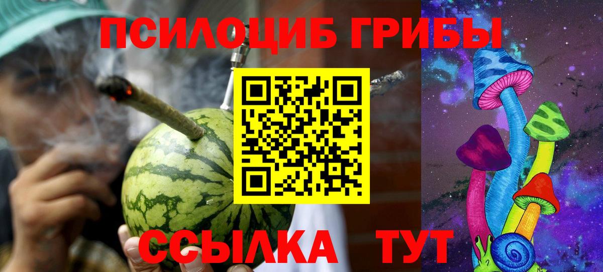 Галлюциногенные грибы прущие грибы Лесосибирск